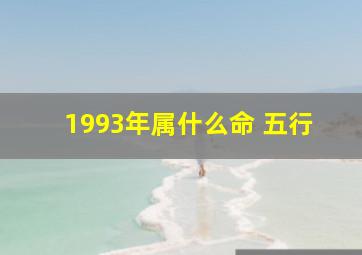 1993年属什么命 五行